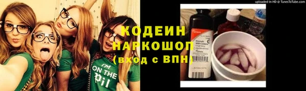 мет Корсаков