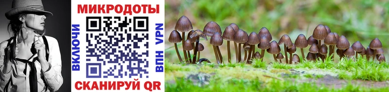 Псилоцибиновые грибы GOLDEN TEACHER  Купить где  Костерёво 